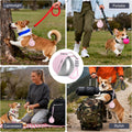Portable Dog Water Bottle | Stainless Steel Travel Dispenser with Foldable Bowl | Leak-Proof | 10oz 4