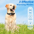 GPS Wireless Dog Fence | No-Wire Invisible Boundary Collar | 25–999 Yard Radius | Waterproof & Rechargeable 6
