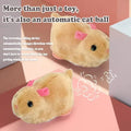 Interactive Cat Toy Ball | USB Rechargeable Auto-Rolling Ball with Mouse | Hands-Free Entertainment for Indoor Cats 5